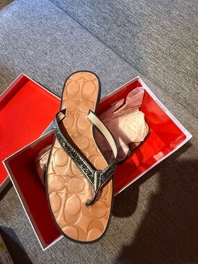 Coach Tan Footbed Metallic Bronze T-Strap Sandals